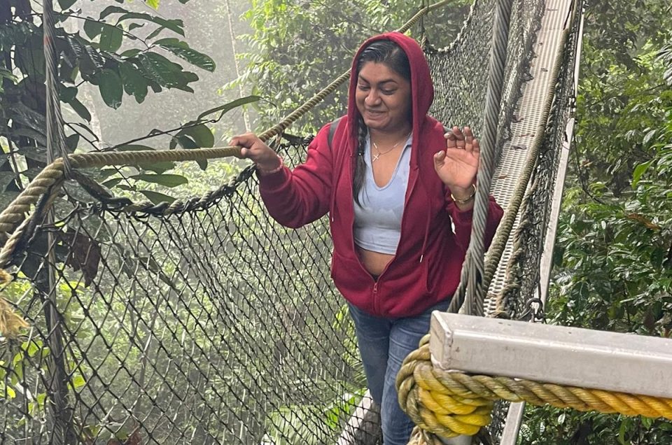 The Fascinating Iwokrama Canopy Walkway (Rope-bridge) in Guyana's Rainforest