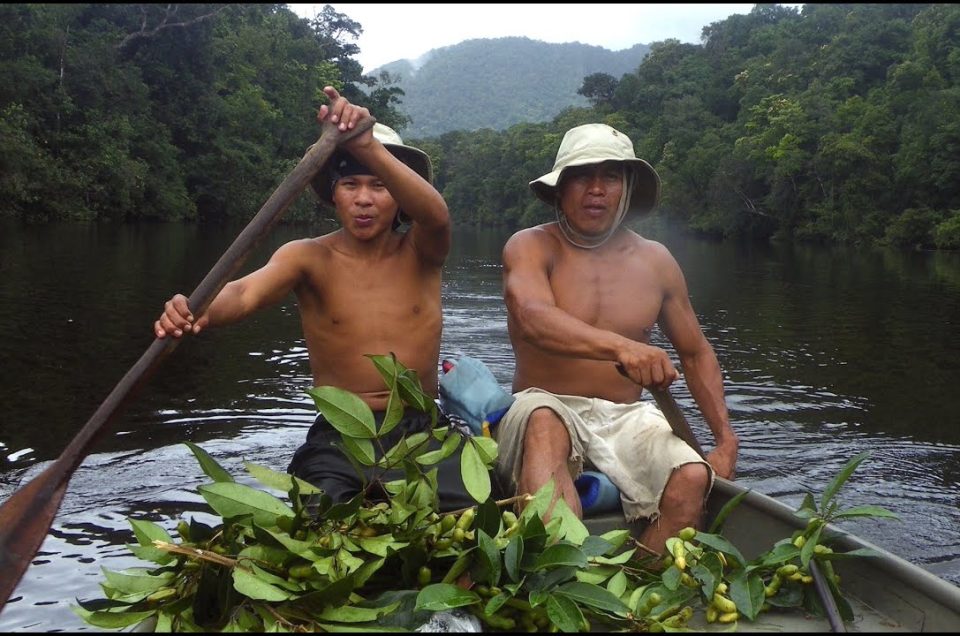 35 day Adventure with Patamona Locals in Guyana